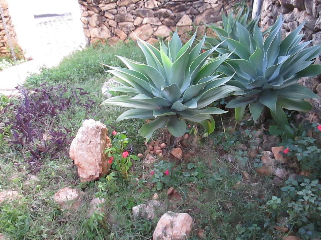Pousada As Relíquias de Minas Tiradentes Exterior foto